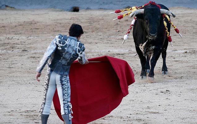 ispaniyadaki-okuz-yarislari-zamani-matador-oldu