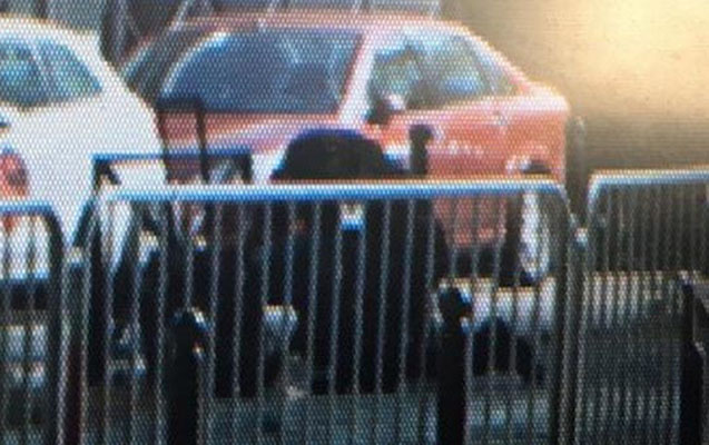 fransa-portuqaliya-oyunu-oncesi-bomba-tehlukesi