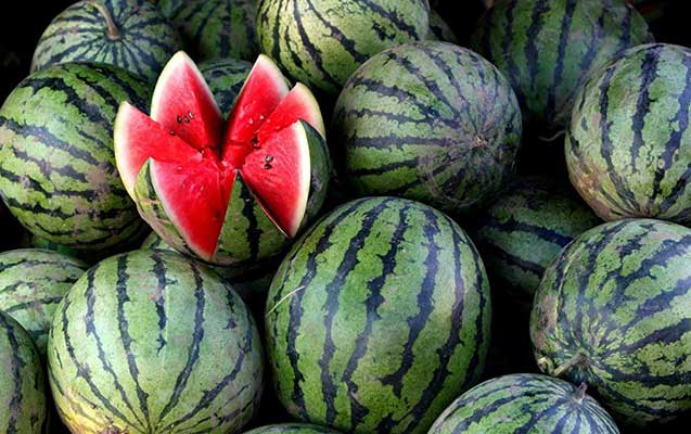 qarpizdan-zeherlenmemek-ucun-ne-lazimdir