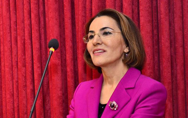 sona-veliyeva-ali-media-mukafatinin-1-ci-derecesi-uzre-laureatdir