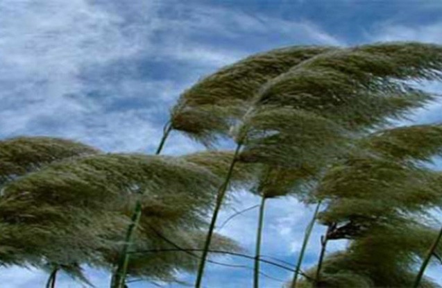 azerbaycanda-guclu-kulek-olacaq-