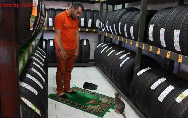 finlandiyadan-bakiya-pisik-geldi