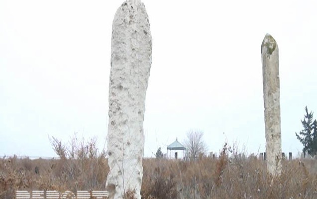 goranboyda-qebirler-heyvanlarin-hucumuna-meruz-qalib
