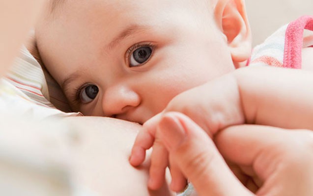 ananin-sudu-az-olanda