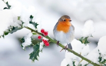 faktiki-hava-aciqlandi