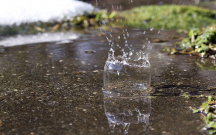 yagis-yagib-kulek-esib