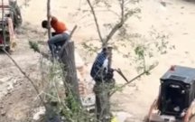 “Ailə park” MTK Nərimanovda söküntü zamanı ağacları kəsib
