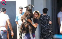 qurbanliq-heyvanlarin-satis-ve-kesim-unvanlari