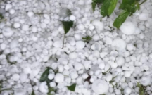 Leysan olacaq, dolu düşəcək