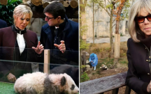 birinci-xanimin-kohne-dostu-panda-ile-gorusunde-maraqli-anlar