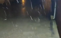 Bakıya yağan sulu qarın görüntüləri