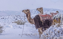 Səhrada 30 ildən sonra ilk qar...