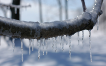 Sabah 15 dərəcə şaxta olacaq