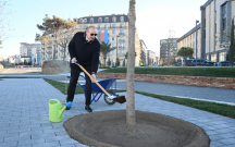 Parkdakı ilk palıd ağacını Prezident əkdi