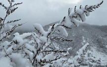 Kəlbəcərdən qar görüntüləri