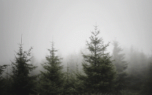 fhn-hava-ile-bagli-ehaliye-muraciet-etdi