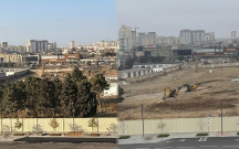 “Ağ Şəhər”də ağacları qıran 2 nəfər saxlanıldı