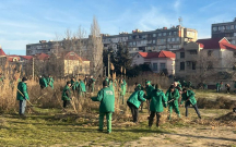 “Pitomnik bağı” ilə bağlı