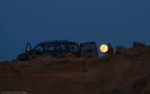 Qobustanda Ayı “oğurladılar”