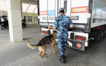 “TIR-dan 63 kq narkotik çıxdı, yaşlı atam günahsız yerə həbsə düşdü”