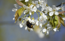 yaz-azerbaycana-bu-tarixde-daxil-olacaq