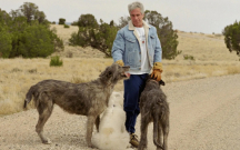 Cəsəd və dəlilləri orada yandırıb?