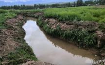 fiziki-qusurlu-sexs-su-arxinda-boguldu