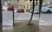 “Piyada zolağından sonra səki yoxdur, ağaclığa giririk”