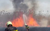 qazaxda-2-hektarliq-sahe-yandi