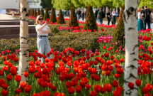 247-ilin-en-isti-martini-yasadilar