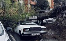 Bakıda ağac avtomobilin üstünə aşdı