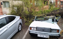 Bakıda ağac avtomobilin üstünə aşdı