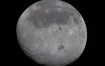 Ayı belə yaxından görməmisiniz