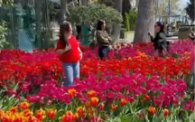 Bulvarda gülləri əzən 10 nəfər polisə çağırıldı