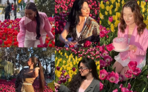 Bulvarda gülləri əzənlər bu bloqerlər imiş