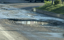 Avtobus zolağındakı çala