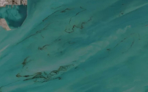 bu-ekoloji-tehluke-kosmosdan-da-gorunur