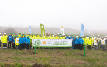 daskesende-silsile-agacekme-aksiyalari-kecirildi