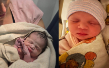 teyyarede-korpe-doguldu