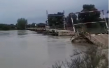 kurun-ustundeki-odenisli-korpu-dagildi