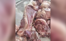 İcra Hakimiyyətinin göndərdiyi qurban əti köhnə olub?
