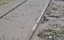 Sərnişinləri ödənişsiz avtobuslar daşıyacaq