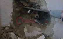 Sakinlər onun xilası üçün nazirliyə zəng etdilər