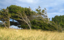 nazirlikden-hava-ile-bagli-ehaliye