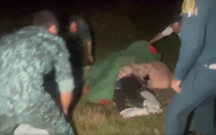 Niderlandlı qadına Şəkidə itlər hücum etdi