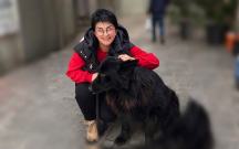 Sizin də küçədə itlər adamlardan çoxdur?