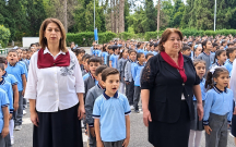 hami-intizamli-seliqeli-ve-vahid-formada