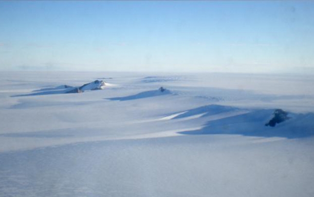 Antarktidada buzların altında 77 növ canlı tapıldı