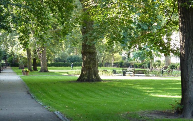 bakida-parkda-meyit-tapildi