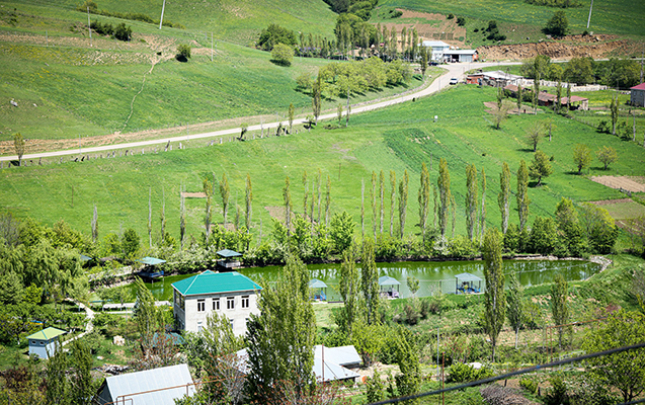 ineyini-apara-bilmeyen-nisenin-saldigi-kend